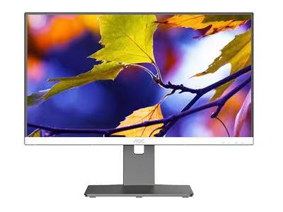 冠捷/AOC A222A3（2C4G） 瑞芯微 RK3568/21.5/集成显卡/1G以下/128GB以下/无/Linux/2GB/台式计算机